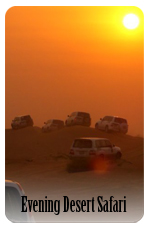 Evening desert safari dubai